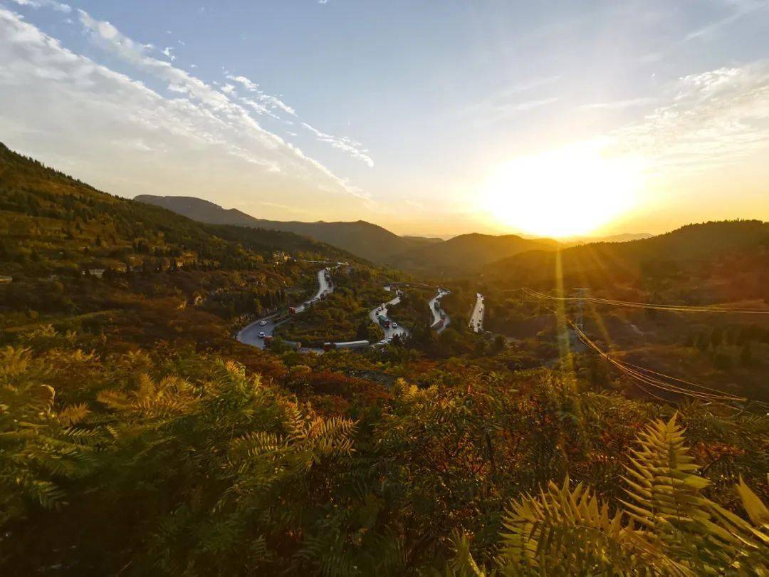 轻风拂晨雾全文 438e55b42db14695b32710eecfc83551.jpeg