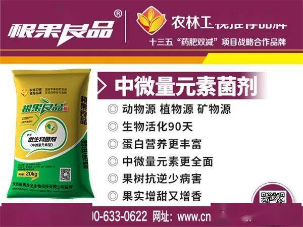 纳豆是什么菌群 56061bd66cf94416a3301b9a437058c1.jpeg