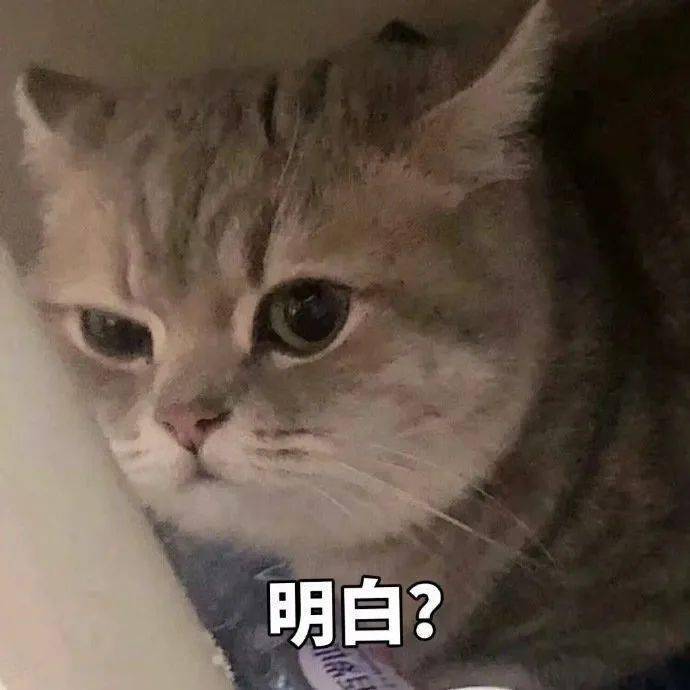 眉毛|跟着抖音学化妆的女生，到底有多惨？