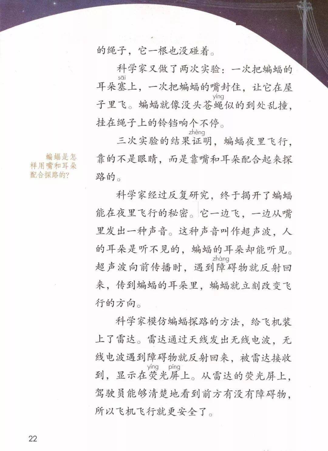 【四年级同步学】新学期学习规划,语文上册 6《夜间飞行的秘密》知识