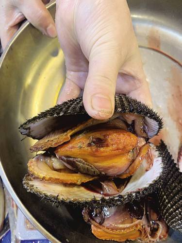 绒毛|如何选购赤贝？