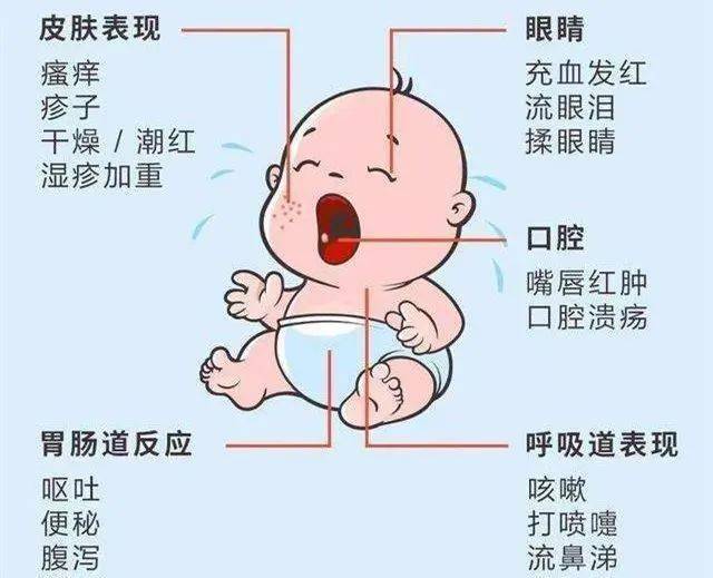 食物|如何预防宝宝食物过敏？