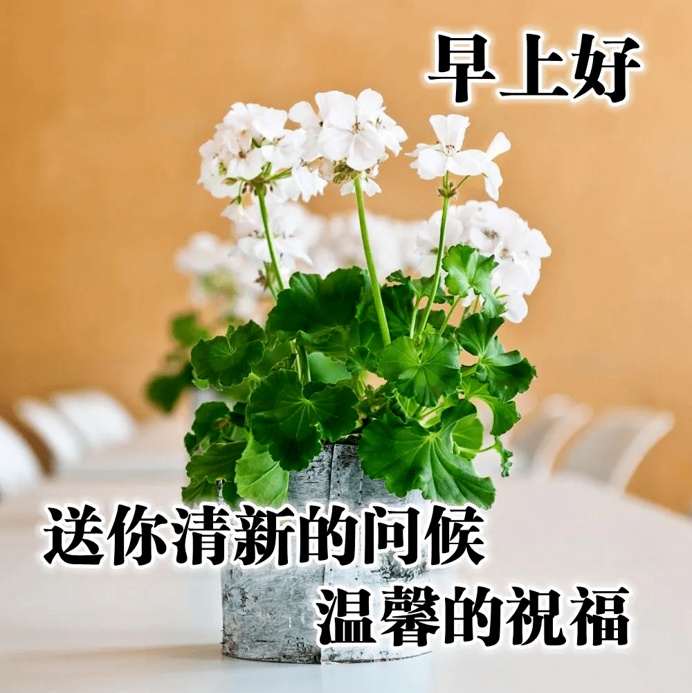 清晨早上好问候动画表情鲜花图片 秋天早安问候动态鲜花图片表情大全