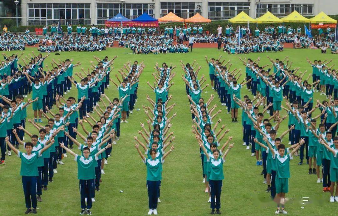 佛山市2020年上半年g_佛山市假烟案2021年(3)