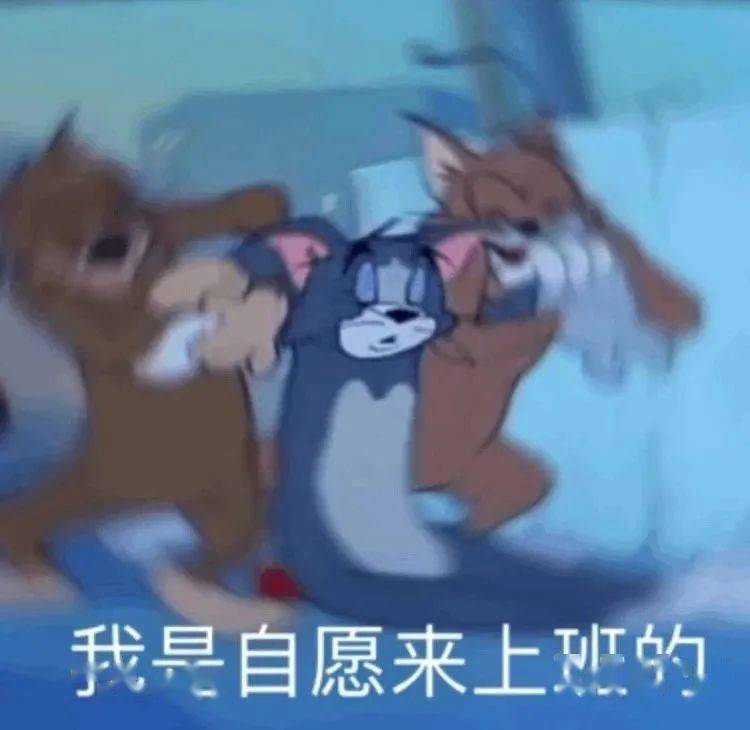 为什么聊天不加表情包就浑身难受?