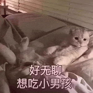 7392cfeb84fa49ae9708c3476f31b53e.gif