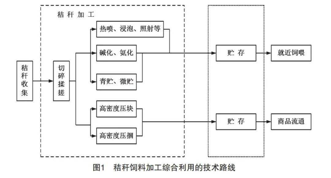 专家告诉你秸秆牛饲料加工技术路线及注意事项