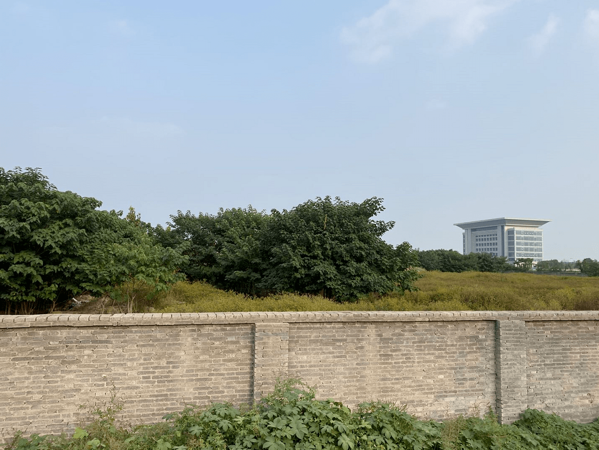 河北“明星”芯片厂夭折：仅建一栋楼就没钱了