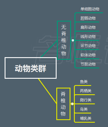 人 教版七年级生物上册课本思维导图 第五单元 生物圈中的其他生物