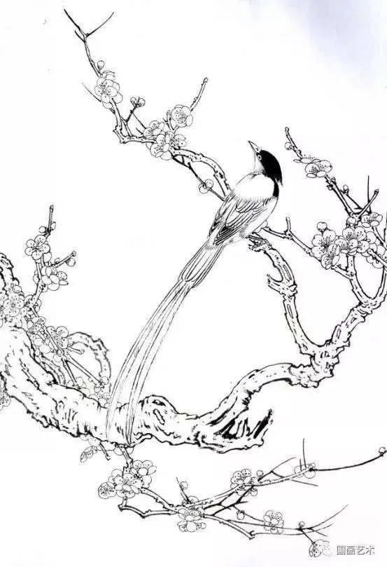 白描素材,多幅梅花小鸟