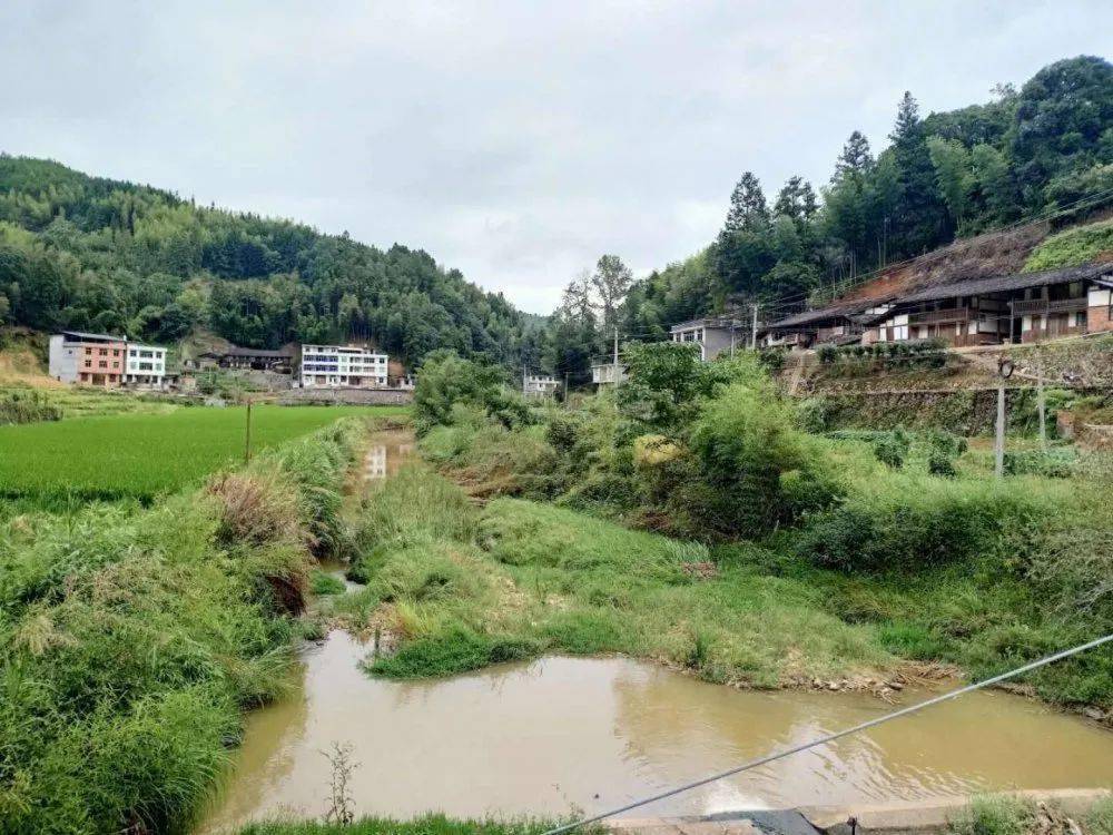 【百日攻坚战】管前镇村尾村小河流综合治理项目有序建设中