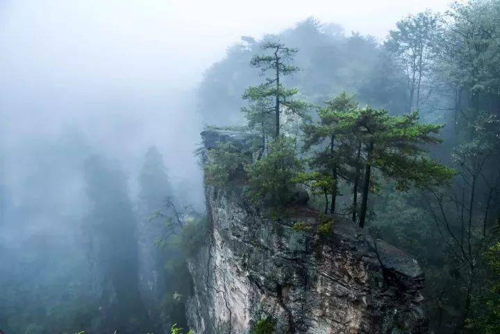 石峰嶙峋,云雾缭绕,千山万壑