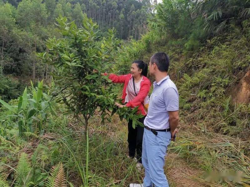 来源:富罗镇党委(姚富航,昭平先锋返回搜狐,查看更多