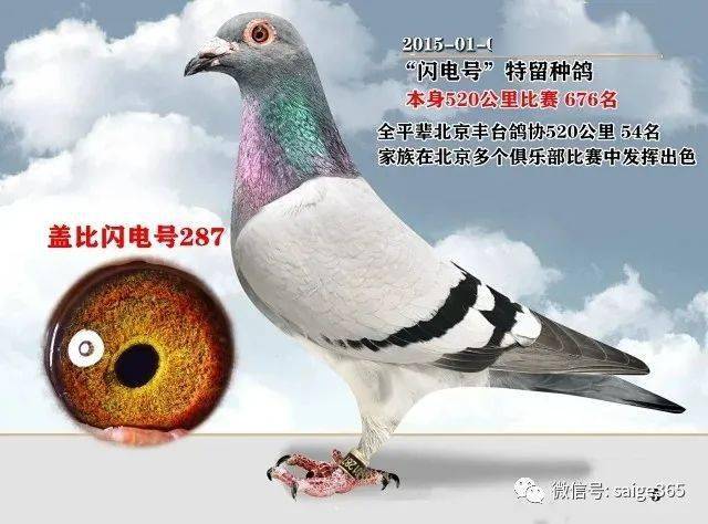 171912da855649c0aa6b7c2c8d43a442.jpeg