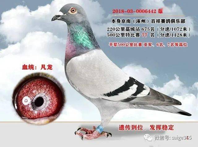 5c00d968ffad422db06d808e2de1e096.jpeg