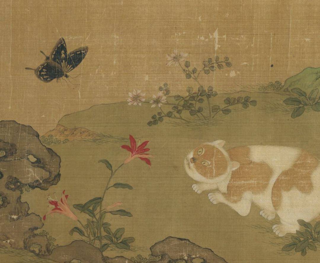 小猫|2万人围观“宋朝人买猫下聘礼”，古代铲屎官：别小瞧这行