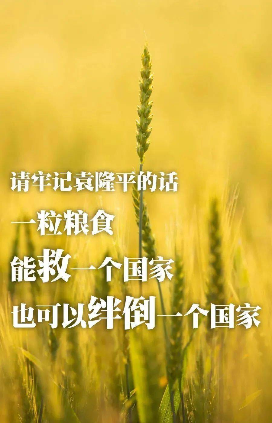 什么饭饱成语_成语故事图片