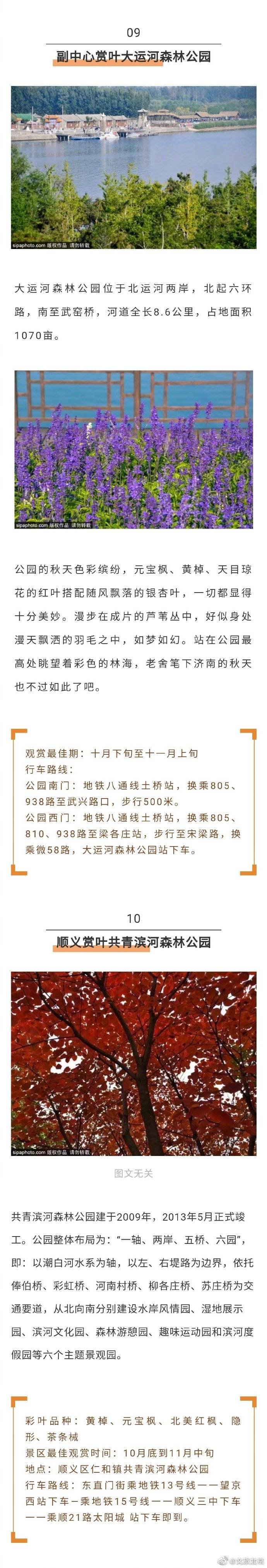 叶指南|2020北京秋季赏叶指南！