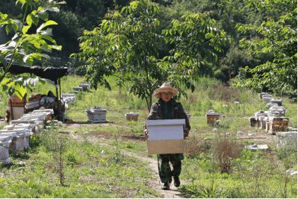扶贫|从脱贫到奔富 京东五年电商精准扶贫交出千亿成绩单