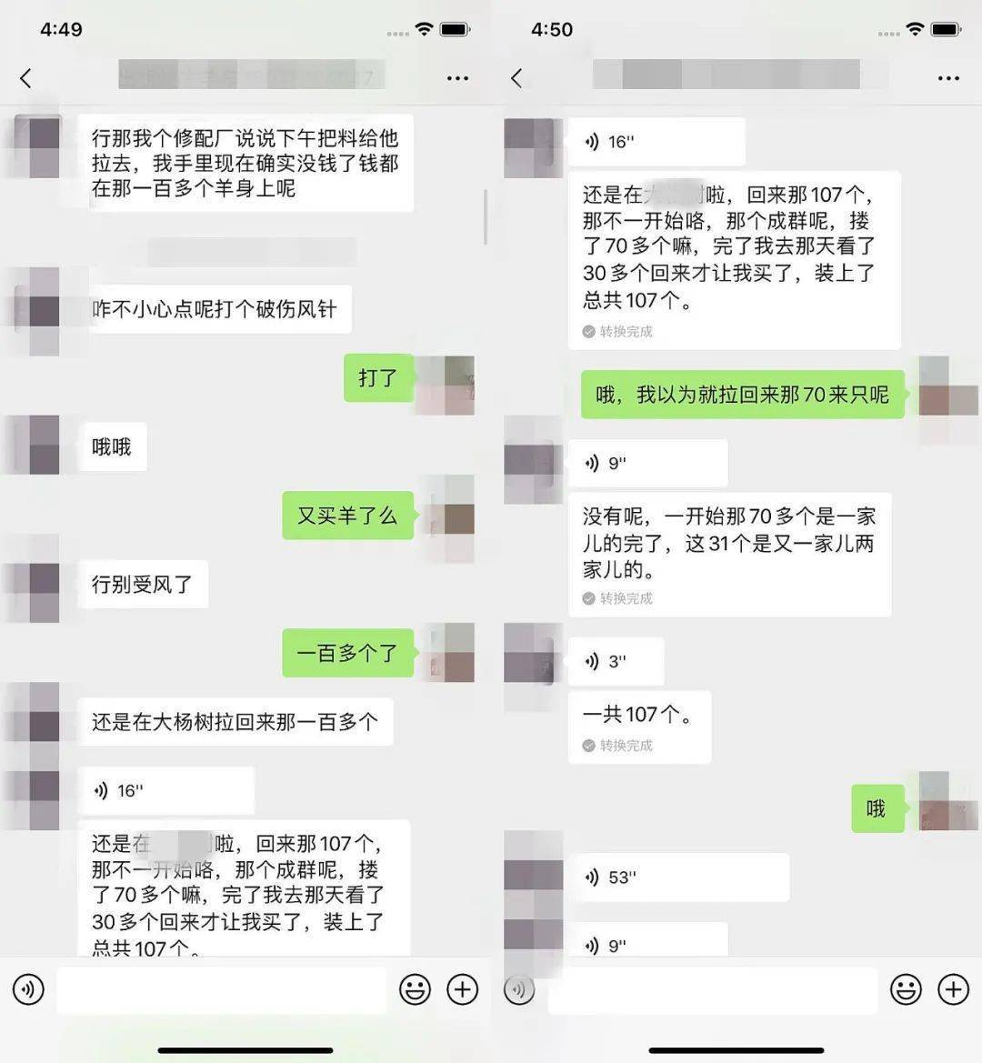 事主与骗子聊天记录