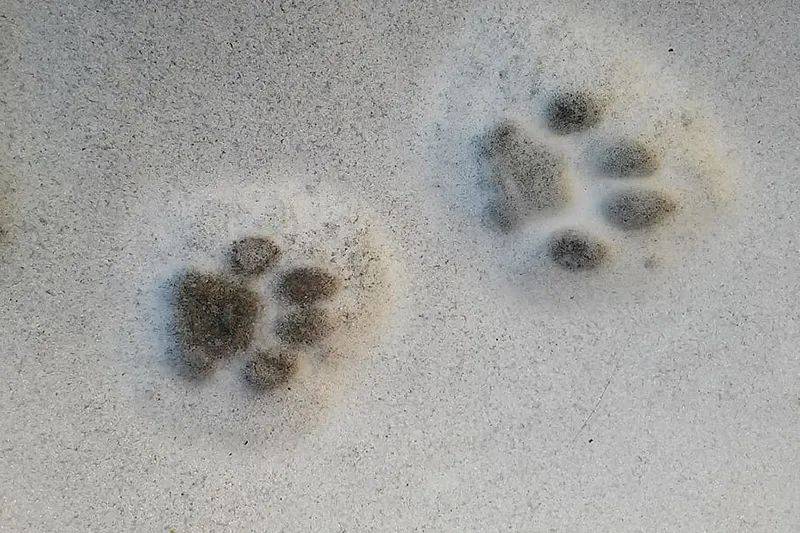 路好滑猜成语_看图猜成语(3)