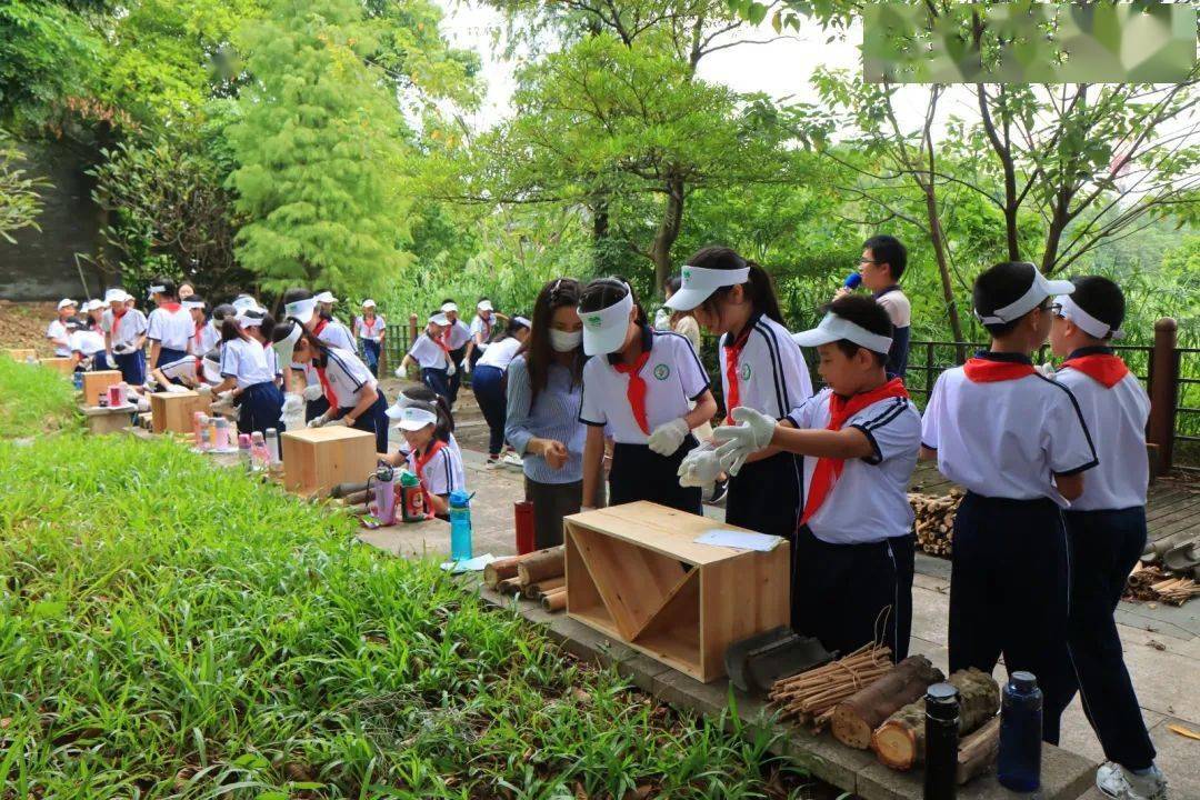 海珠区首个劳动教育实践基地落户海珠湿地公园