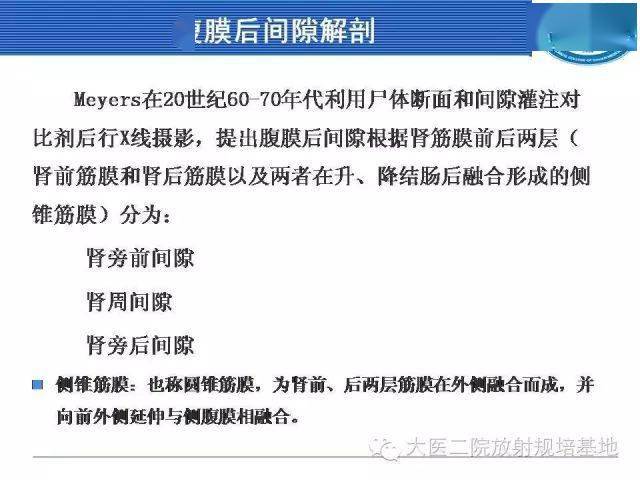 腹膜后间隙的划分请务必牢记