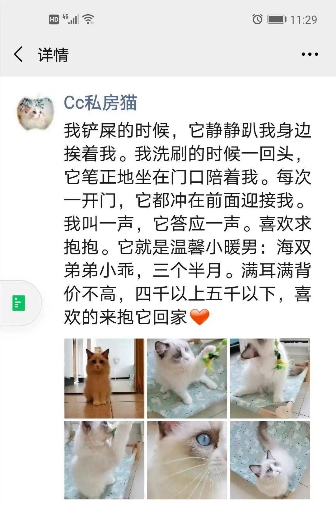 抱喜陶笛简谱_陶笛简谱(2)