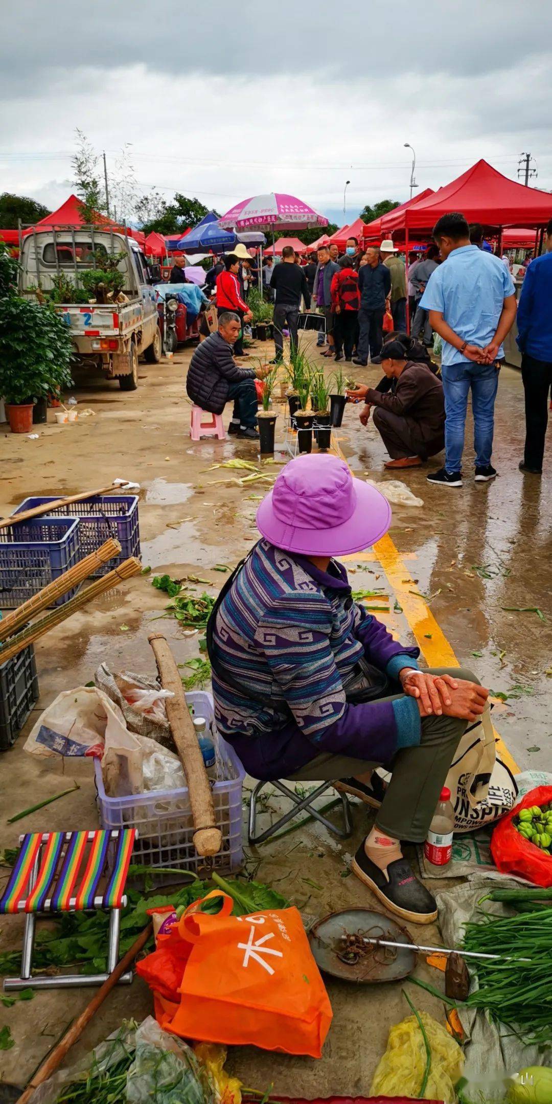 百姓生活2020年第243期手机随拍保山农民街头