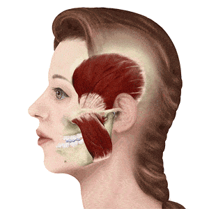 女生|为什么现在的女生，越长大越丑？