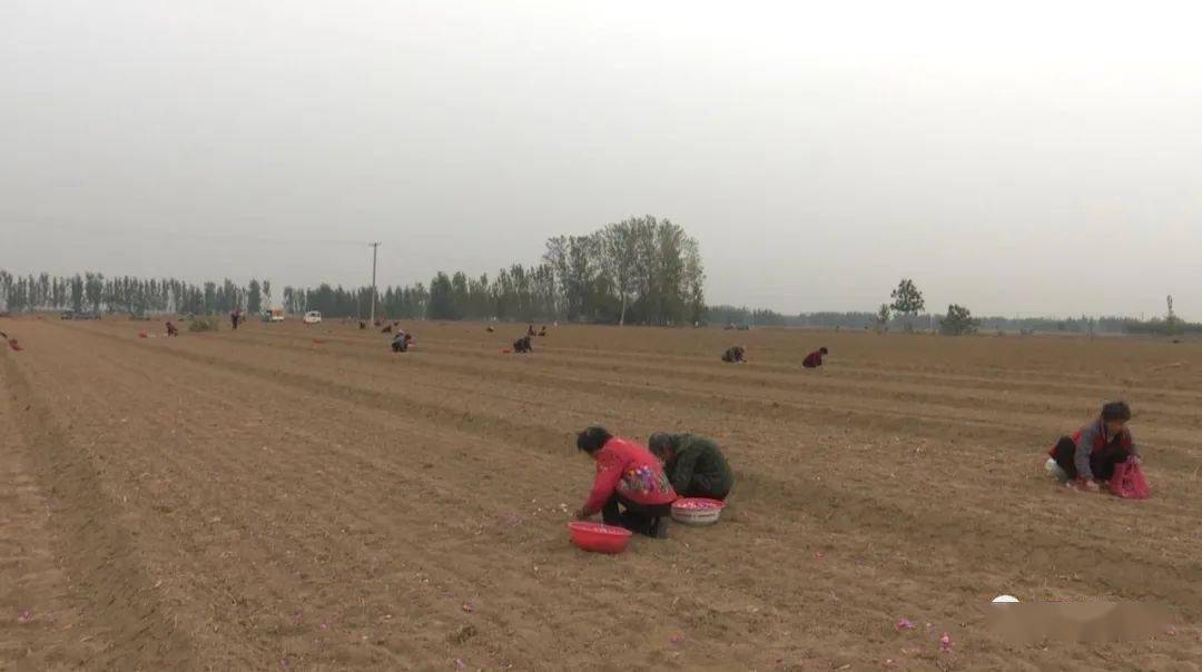 郓城县黄泥冈镇gdp是多少_郓城县自然资源和规划局向黄泥冈镇捐赠防疫物品