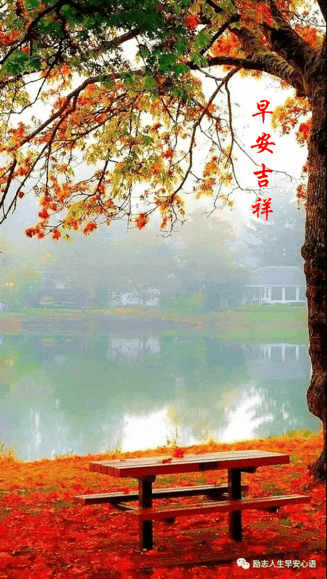 640_1134 竖版 竖屏