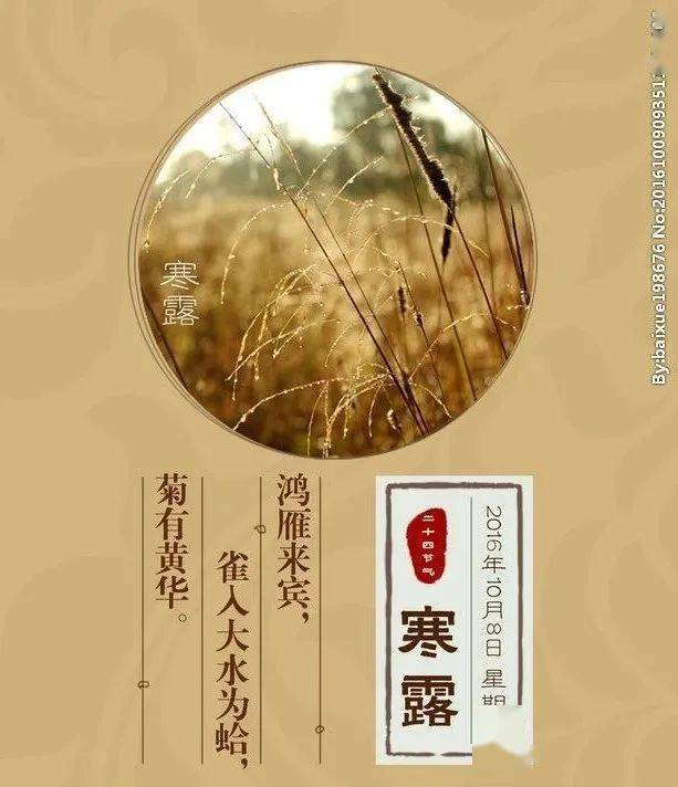 寒露(诗歌)//枕水,秋采薇