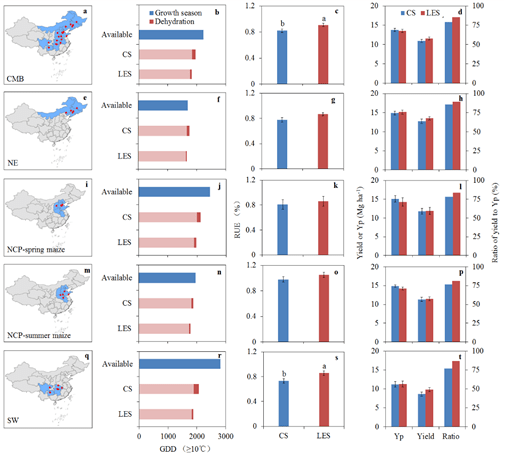 玉米高产品种排行榜_这些玉米品种种植都在5年以上,抗病抗倒又高产,仍是主推品种(2)