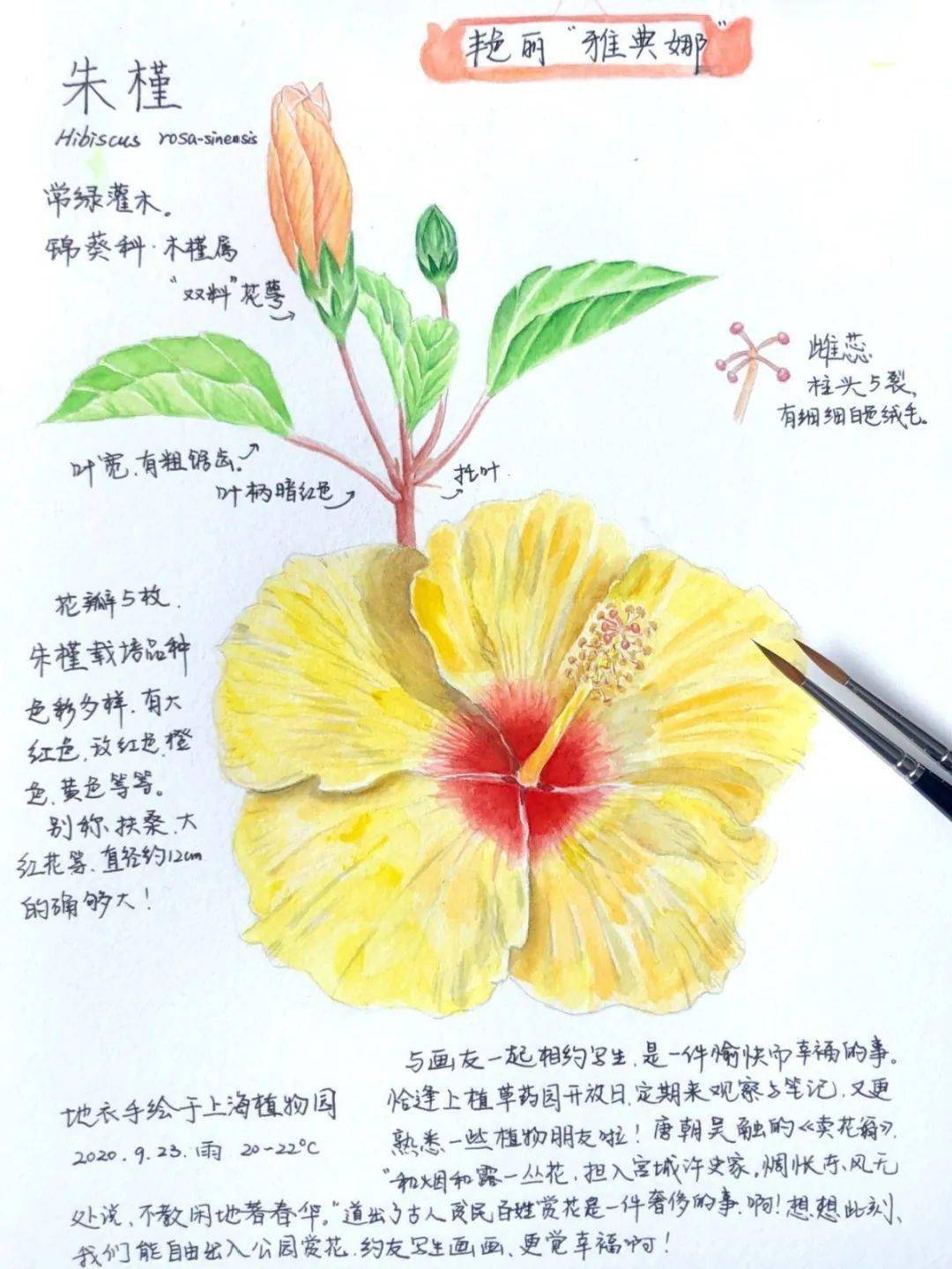 活动招募|"笔记精灵"系列之秋色自然笔记体验活动