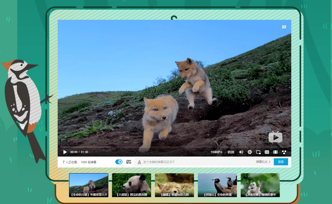 什么网站可以看动物视频 d335d766f85e4dacbe9f4d64c63f5b78.png