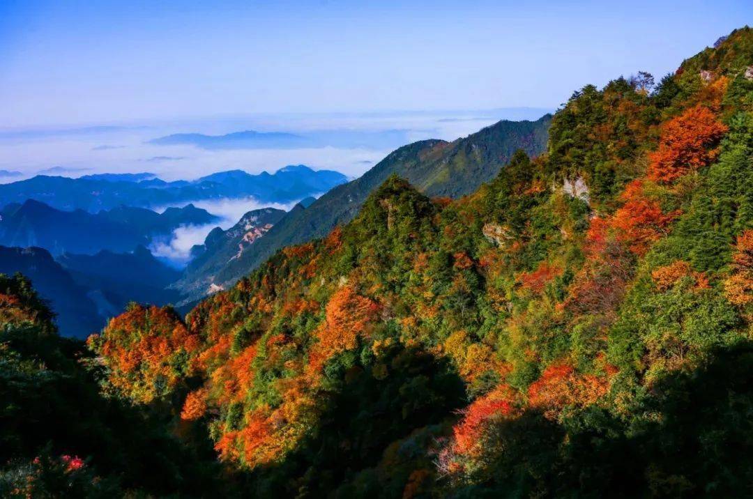 安逸走四川秋意大巴山