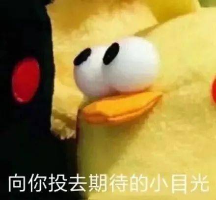 同胞|“四万万同胞”怎么来的?人口普查还可以这样操作!