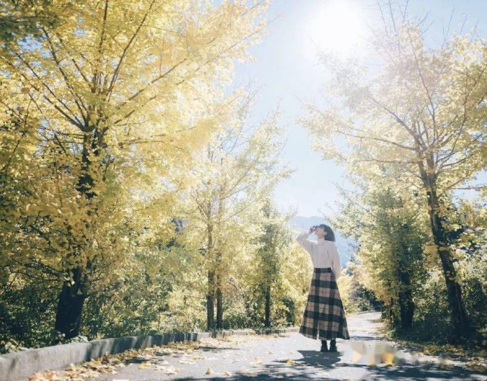 照片|我试了100个“拍照小心机”，最终只留下这5个！