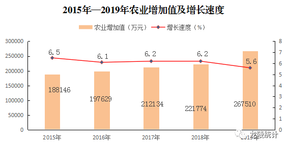 2019年龙陵县国民经济和社会发展统计公报