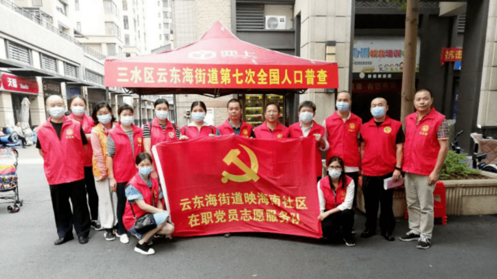 社区人口普查主题党日活动
