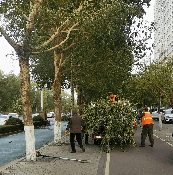 通辽人口迁_通辽地图(2)