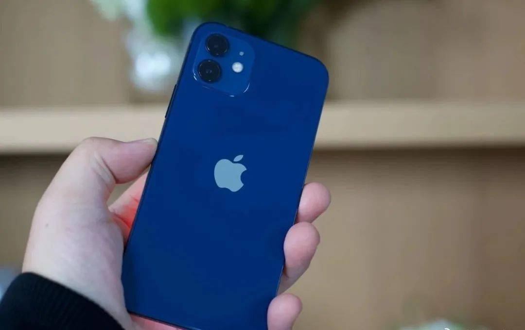 网友|iPhone 12蓝色冲上热搜第一！网友吵翻了