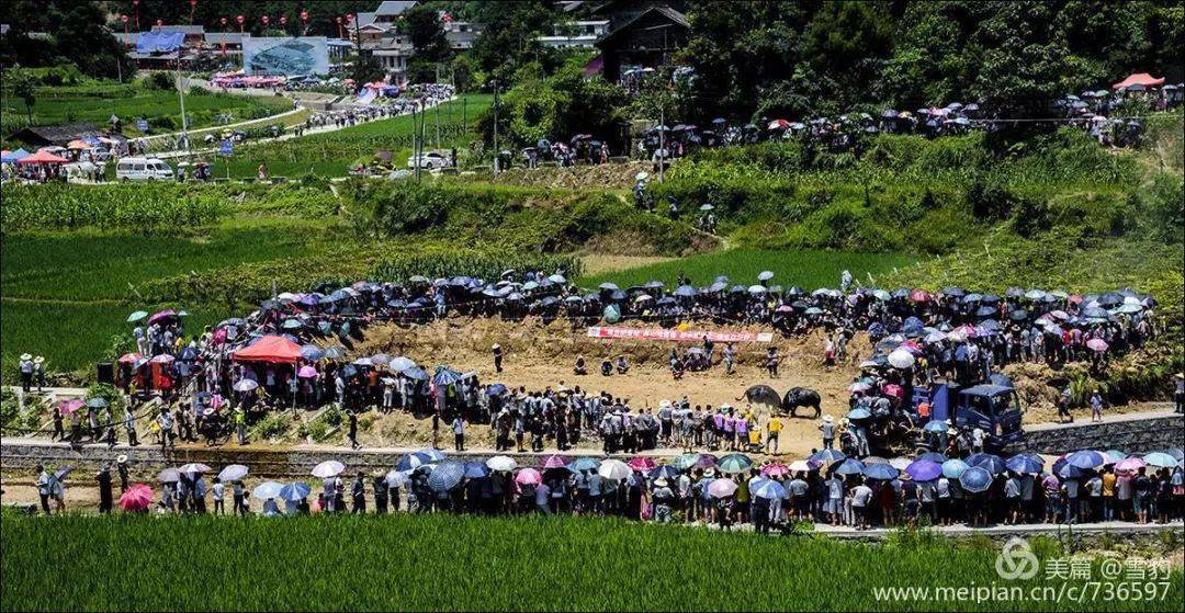 摄影采风报名中2020年贵州三都水族端节民俗摄影采风创作活动