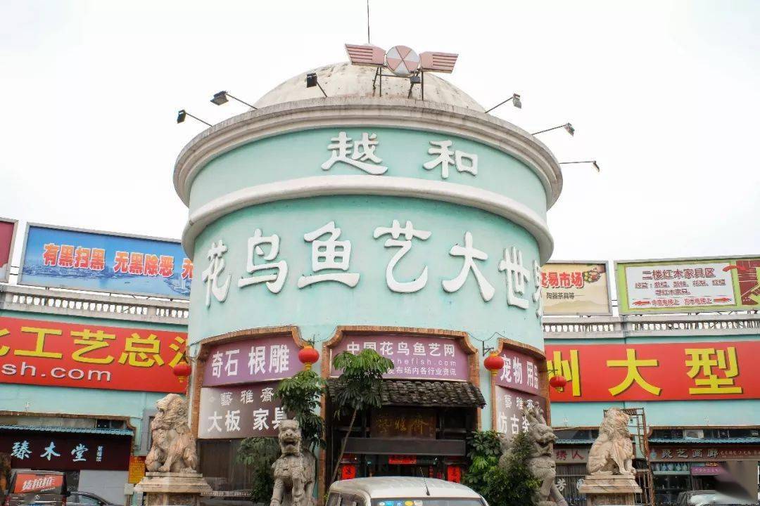 再见了！芳村花鸟鱼虫市场！今天起，全面撤场不再营业！