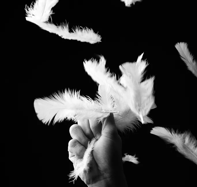 观点评论|颠覆者辛有志