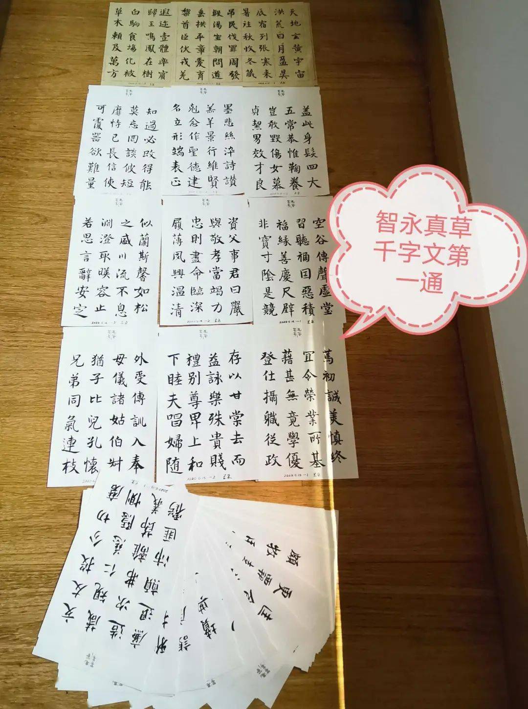 相见恨晚的简谱_彭佳慧相见恨晚