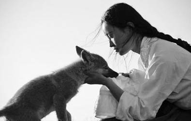 开水烫怀孕母猫的施虐者,我想把这些电影甩你脸上