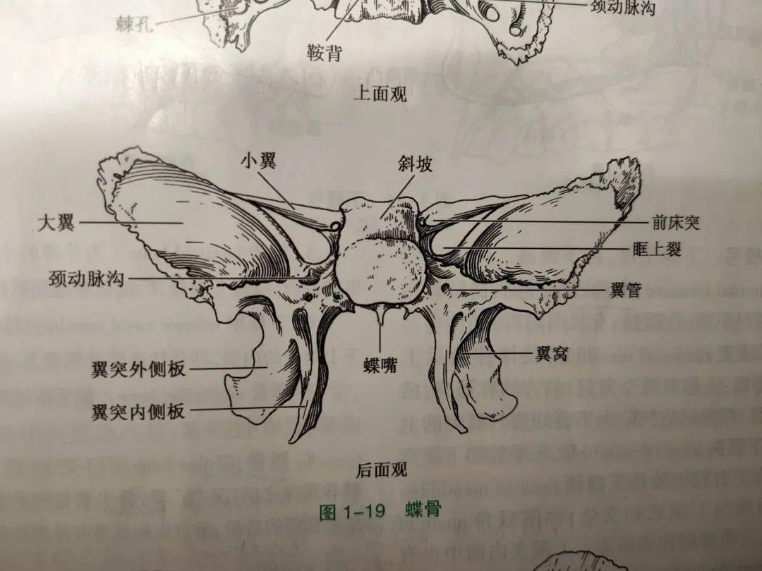 医学生成长打卡实验课图鉴