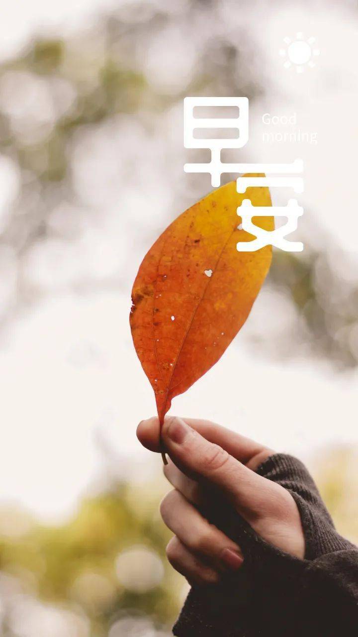 朋友圈早安晚安励志语录图片
